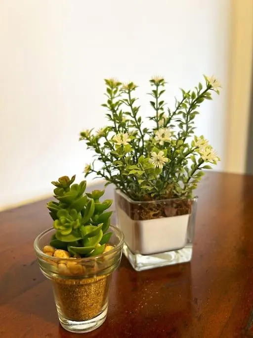דירות פירנצה Il Fiorino Di Careggi איטליה